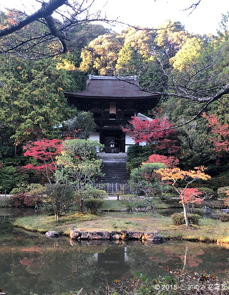 奈良の紅葉穴場スポット 円成寺の庭園は必見 奈良一人旅紅葉編