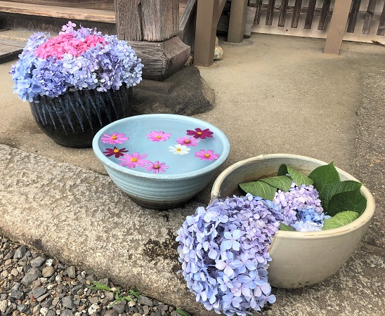 奈良 般若寺にいけられたあじさいが可愛すぎた 夏の奈良一人旅